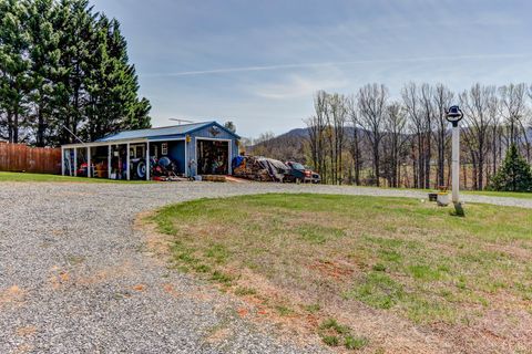 Tiny photo for 2352 Union Church Road, Thaxton, VA 24174 (MLS # 365211)