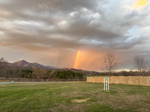 Tiny photo for 2352 Union Church Road, Thaxton, VA 24174 (MLS # 365211)