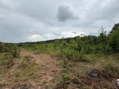 Homes For Sale - 2820 Edmunds Road<br/> Gretna, VA 24557