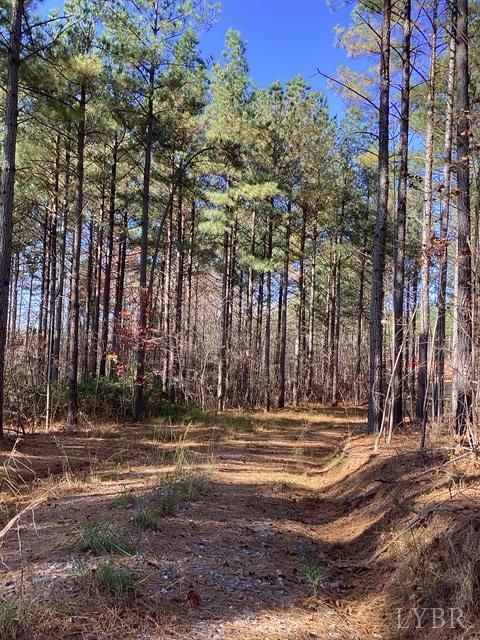 Tiny photo for 0 Lewis Ford Road, Brookneal, VA 24528 (MLS # 363128)