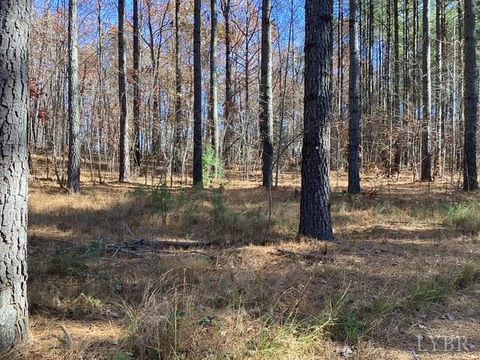 Tiny photo for 0 Lewis Ford Road, Brookneal, VA 24528 (MLS # 363128)