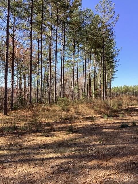 Tiny photo for 0 Lewis Ford Road, Brookneal, VA 24528 (MLS # 363128)