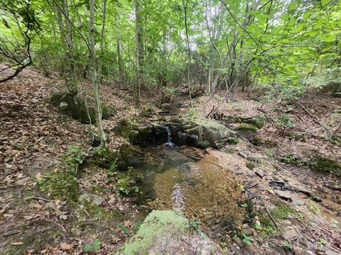 Tiny photo for 0 Lewis Ford Road, Brookneal, VA 24528 (MLS # 363128)