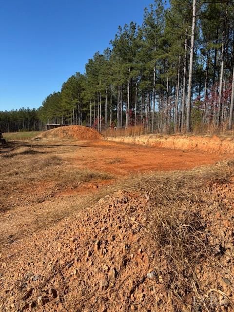 Tiny photo for 0 Lewis Ford Road, Brookneal, VA 24528 (MLS # 363128)