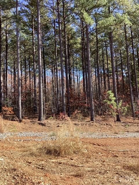 Tiny photo for 0 Lewis Ford Road, Brookneal, VA 24528 (MLS # 363128)