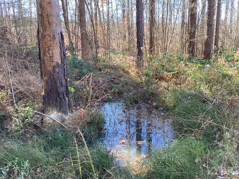 Tiny photo for 0 Lewis Ford Road, Brookneal, VA 24528 (MLS # 363128)