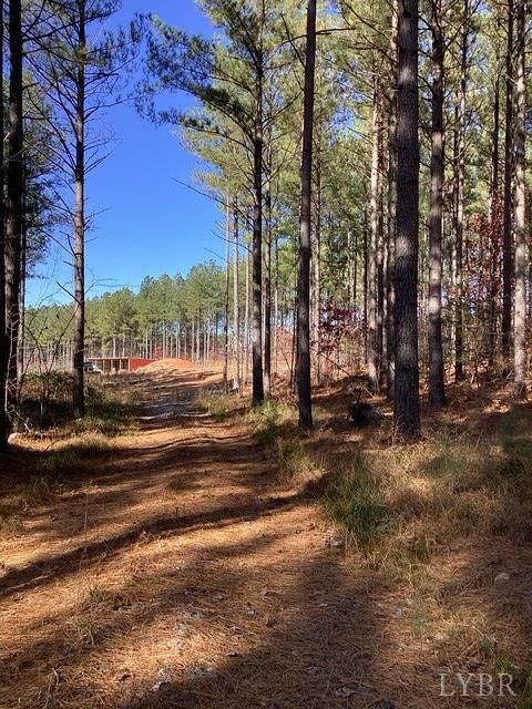 Tiny photo for 0 Lewis Ford Road, Brookneal, VA 24528 (MLS # 363128)