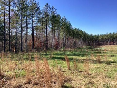 Tiny photo for 0 Lewis Ford Road, Brookneal, VA 24528 (MLS # 363128)