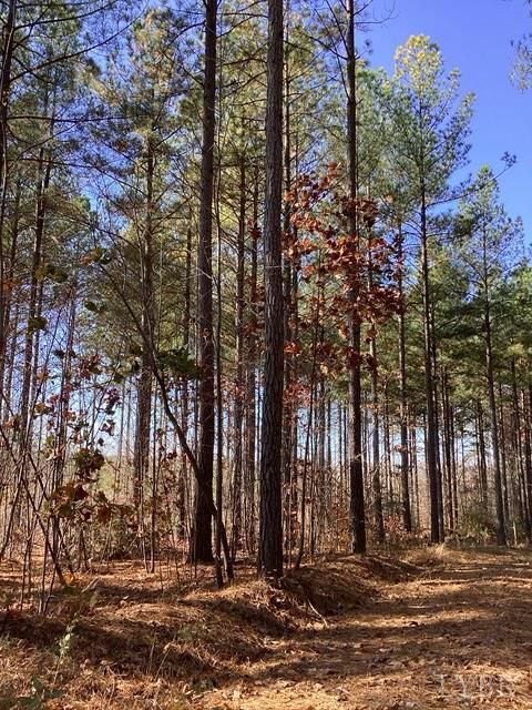 Tiny photo for 0 Lewis Ford Road, Brookneal, VA 24528 (MLS # 363128)