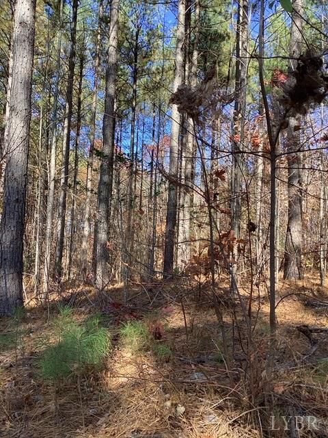 Tiny photo for 0 Lewis Ford Road, Brookneal, VA 24528 (MLS # 363128)