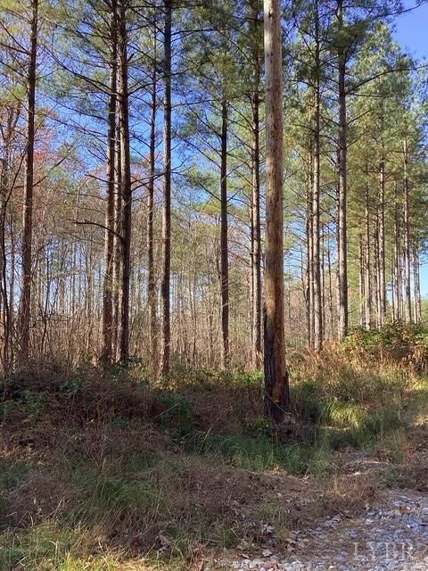 Tiny photo for 0 Lewis Ford Road, Brookneal, VA 24528 (MLS # 363128)