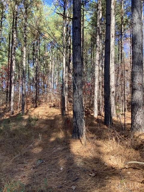 Tiny photo for 0 Lewis Ford Road, Brookneal, VA 24528 (MLS # 363128)