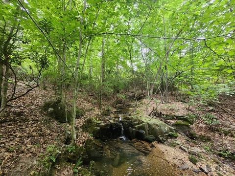 Tiny photo for 0 Lewis Ford Road, Brookneal, VA 24528 (MLS # 363128)