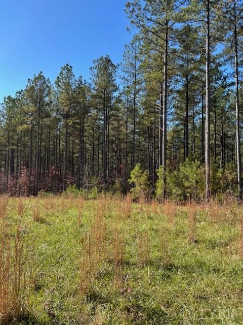 Tiny photo for 0 Lewis Ford Road, Brookneal, VA 24528 (MLS # 363128)