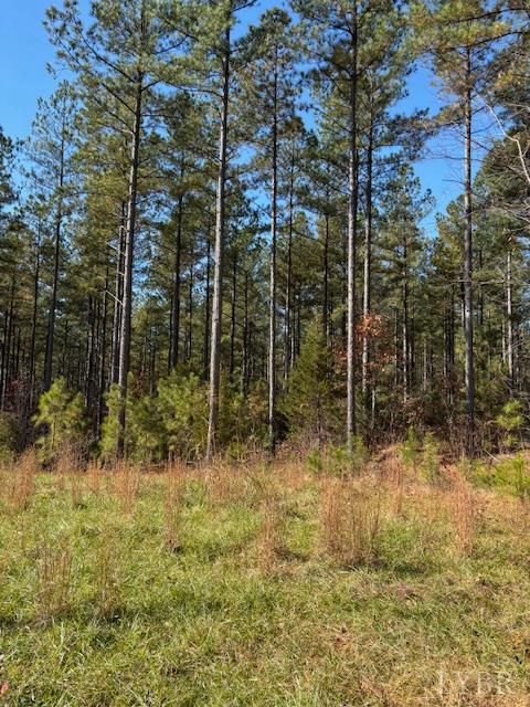 Tiny photo for 0 Lewis Ford Road, Brookneal, VA 24528 (MLS # 363128)