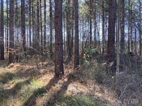 Tiny photo for 0 Lewis Ford Road, Brookneal, VA 24528 (MLS # 363128)