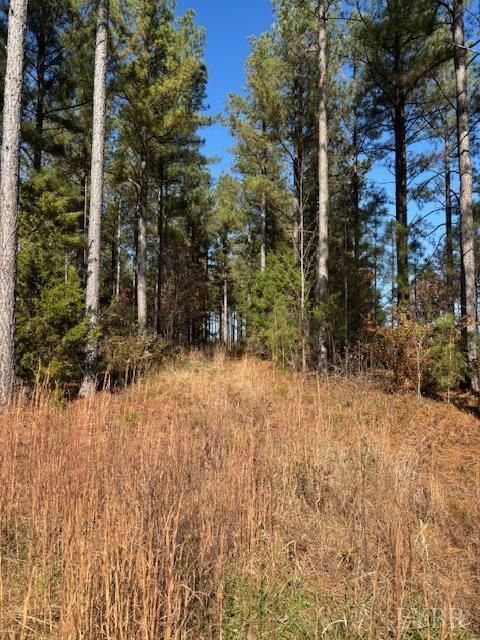 Tiny photo for 0 Lewis Ford Road, Brookneal, VA 24528 (MLS # 363128)