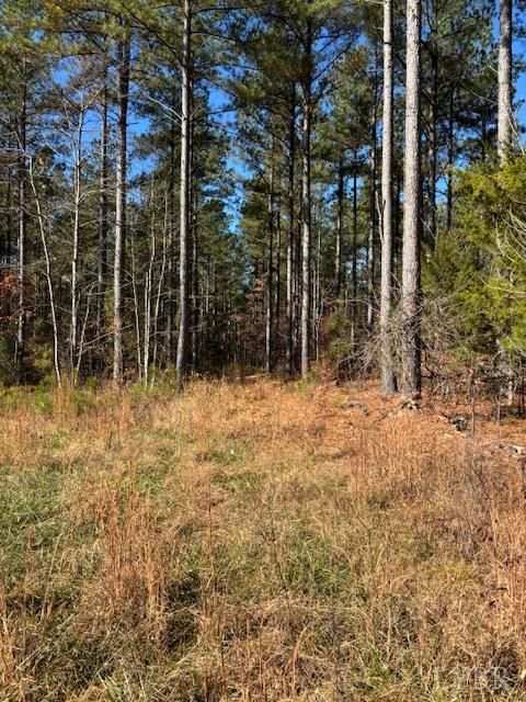 Tiny photo for 0 Lewis Ford Road, Brookneal, VA 24528 (MLS # 363128)