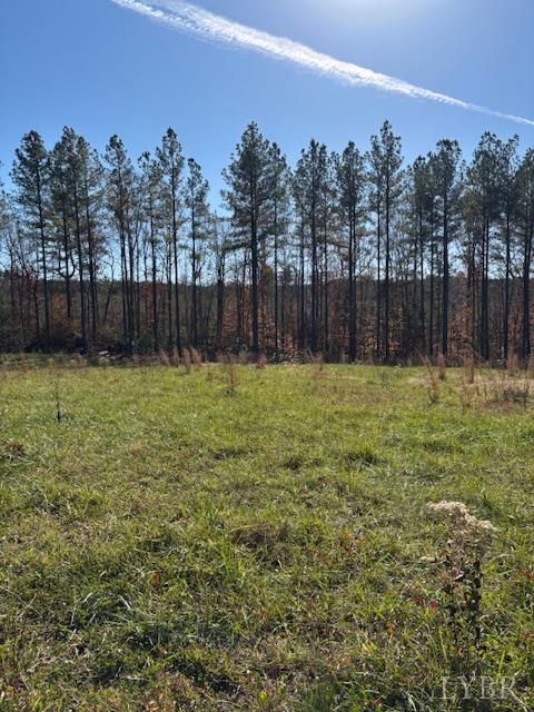 Tiny photo for 0 Lewis Ford Road, Brookneal, VA 24528 (MLS # 363128)