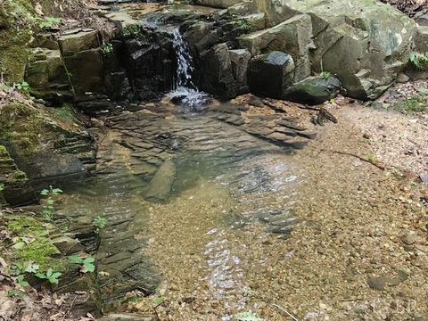 Tiny photo for 0 Lewis Ford Road, Brookneal, VA 24528 (MLS # 363128)