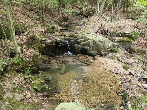 Tiny photo for 0 Lewis Ford Road, Brookneal, VA 24528 (MLS # 363128)