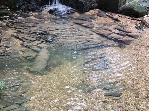 Tiny photo for 0 Lewis Ford Road, Brookneal, VA 24528 (MLS # 363128)