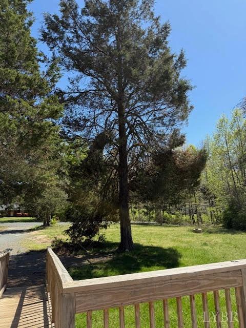 1098 Pamplin Rd Rd, Pamplin, Virginia image 21