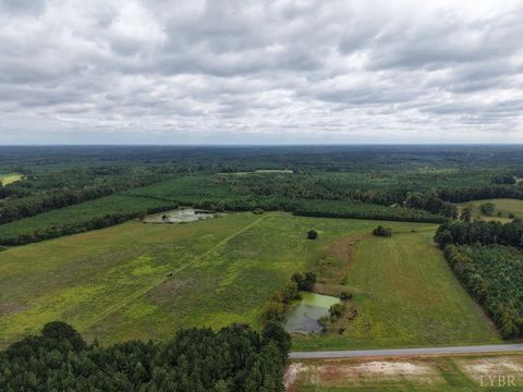Photo of 0 Great Oak Rd Road, Dolphin, VA 23843 (MLS # 362379)
