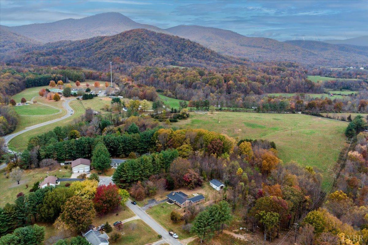 1059 Fairview Drive, Big Island, Virginia image 2