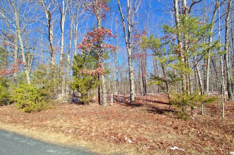 Tiny photo for 0 Texas School Road, Wingina, VA 24599 (MLS # 363545)