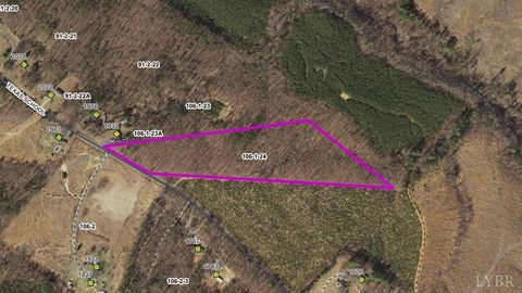 Photo of 0 Texas School Road, Wingina, VA 24599 (MLS # 363545)