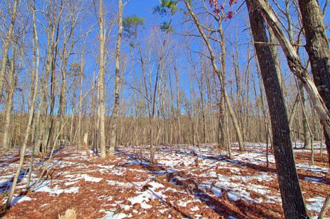 Tiny photo for 0 Texas School Road, Wingina, VA 24599 (MLS # 363545)