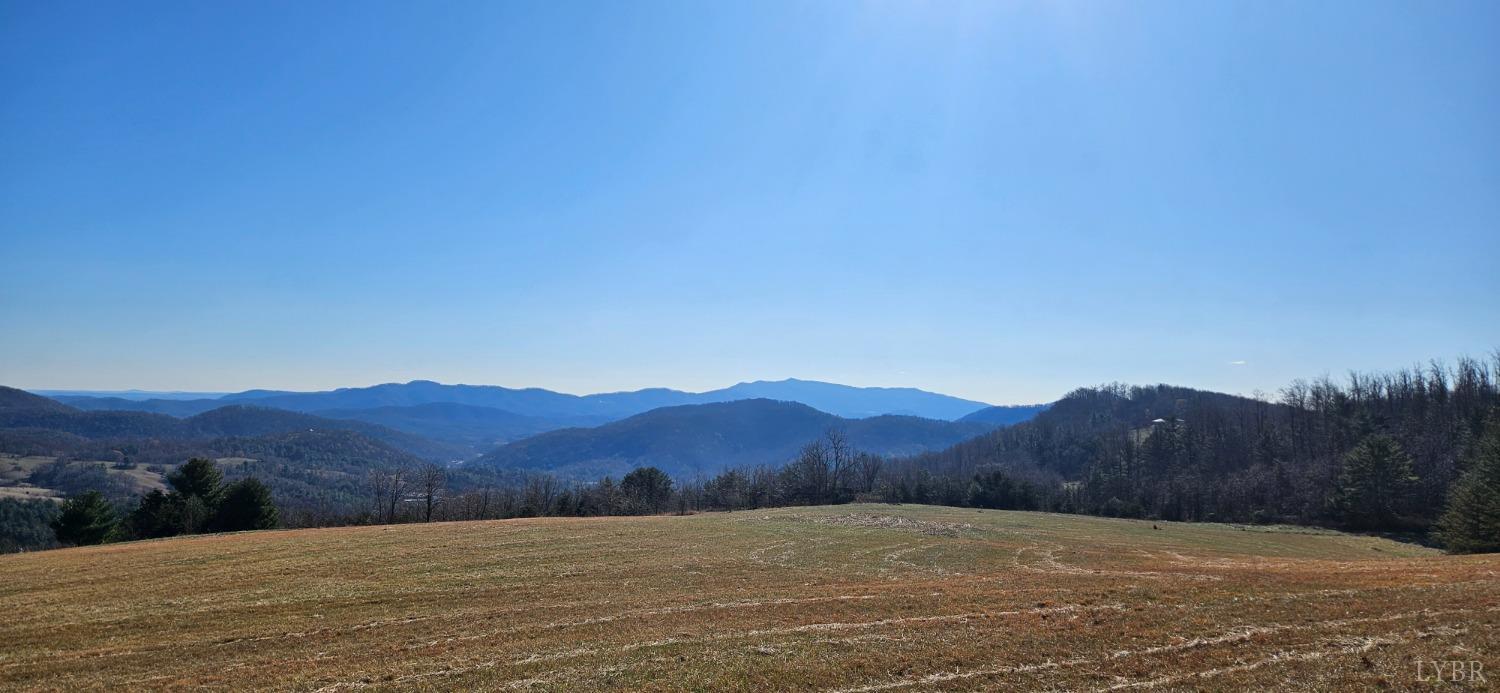 Lexington Turnpike, Amherst, Virginia image 19