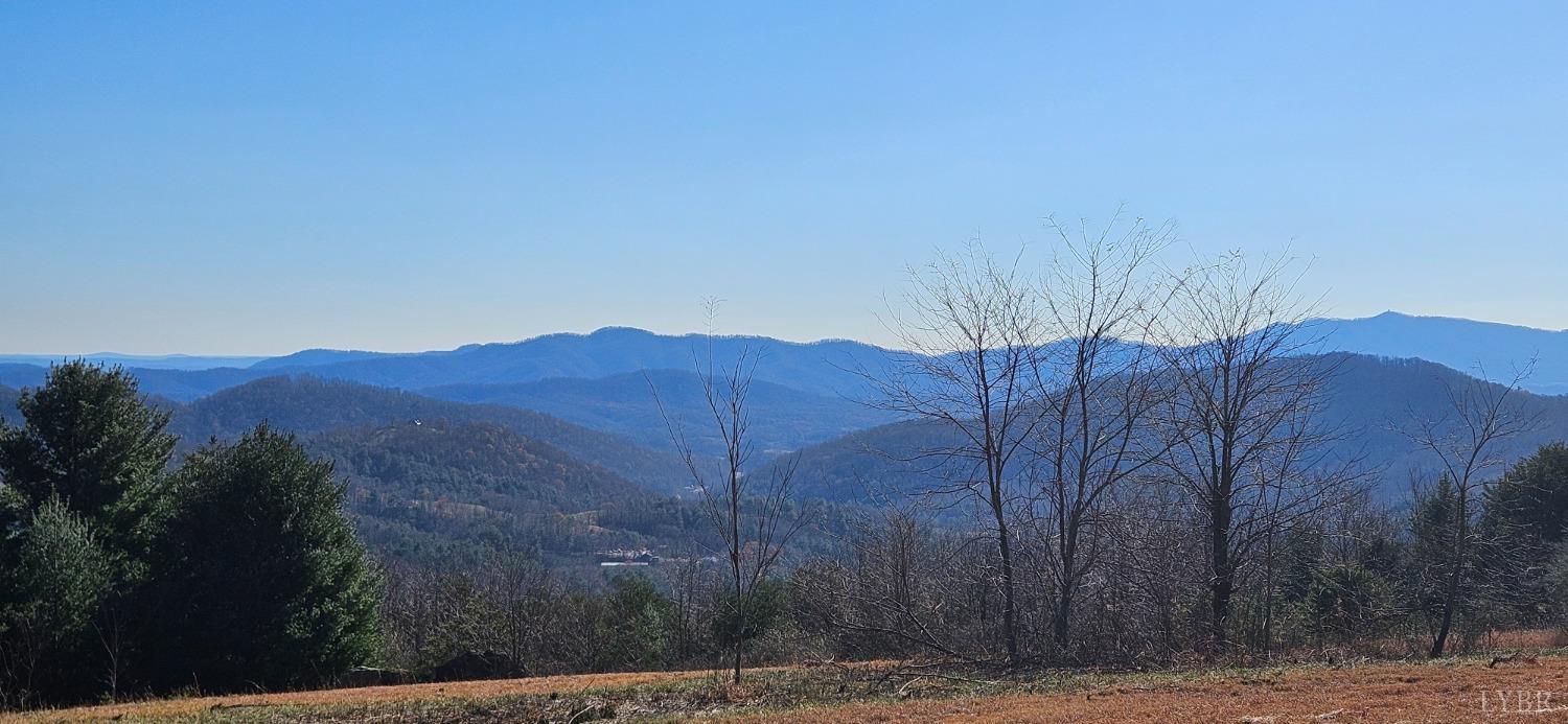 Lexington Turnpike, Amherst, Virginia image 9