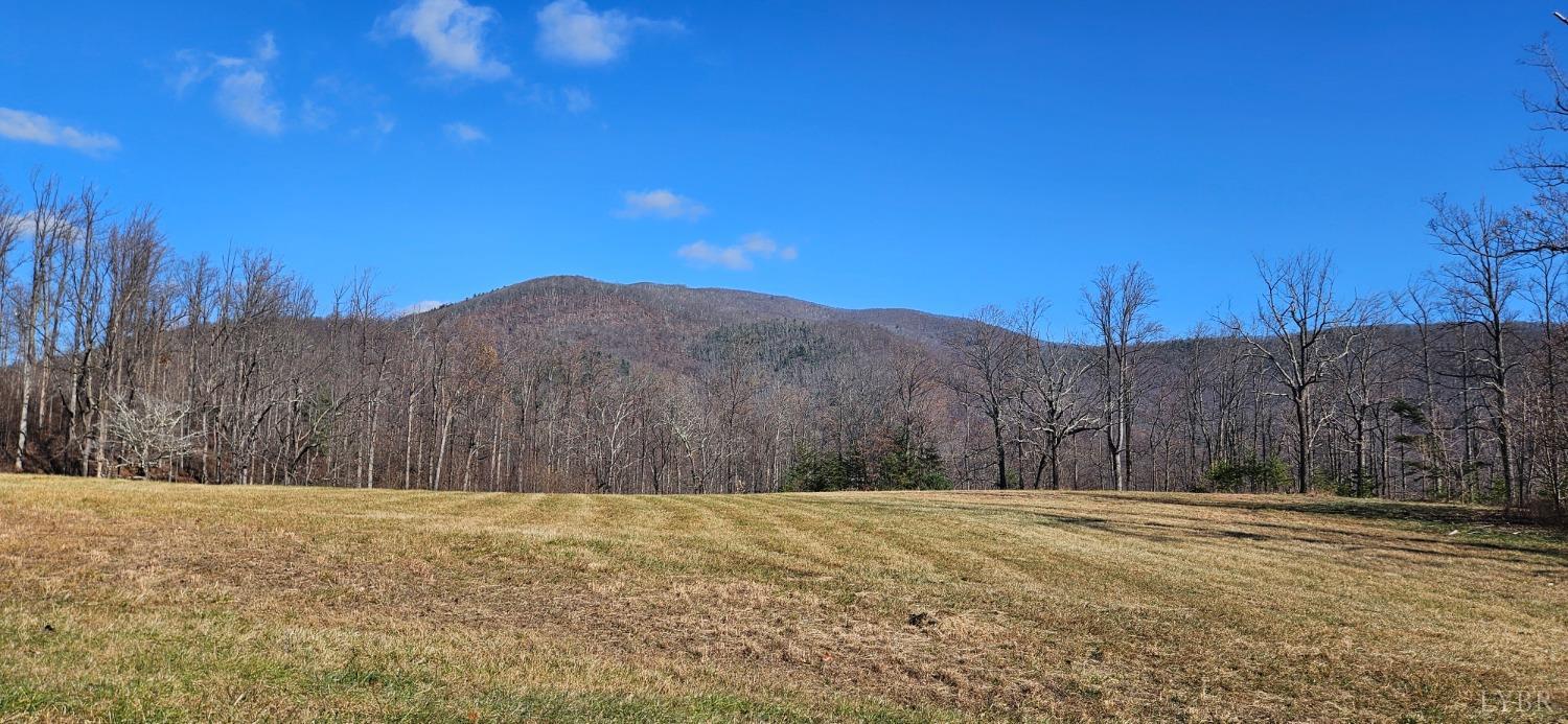 Lexington Turnpike, Amherst, Virginia image 25