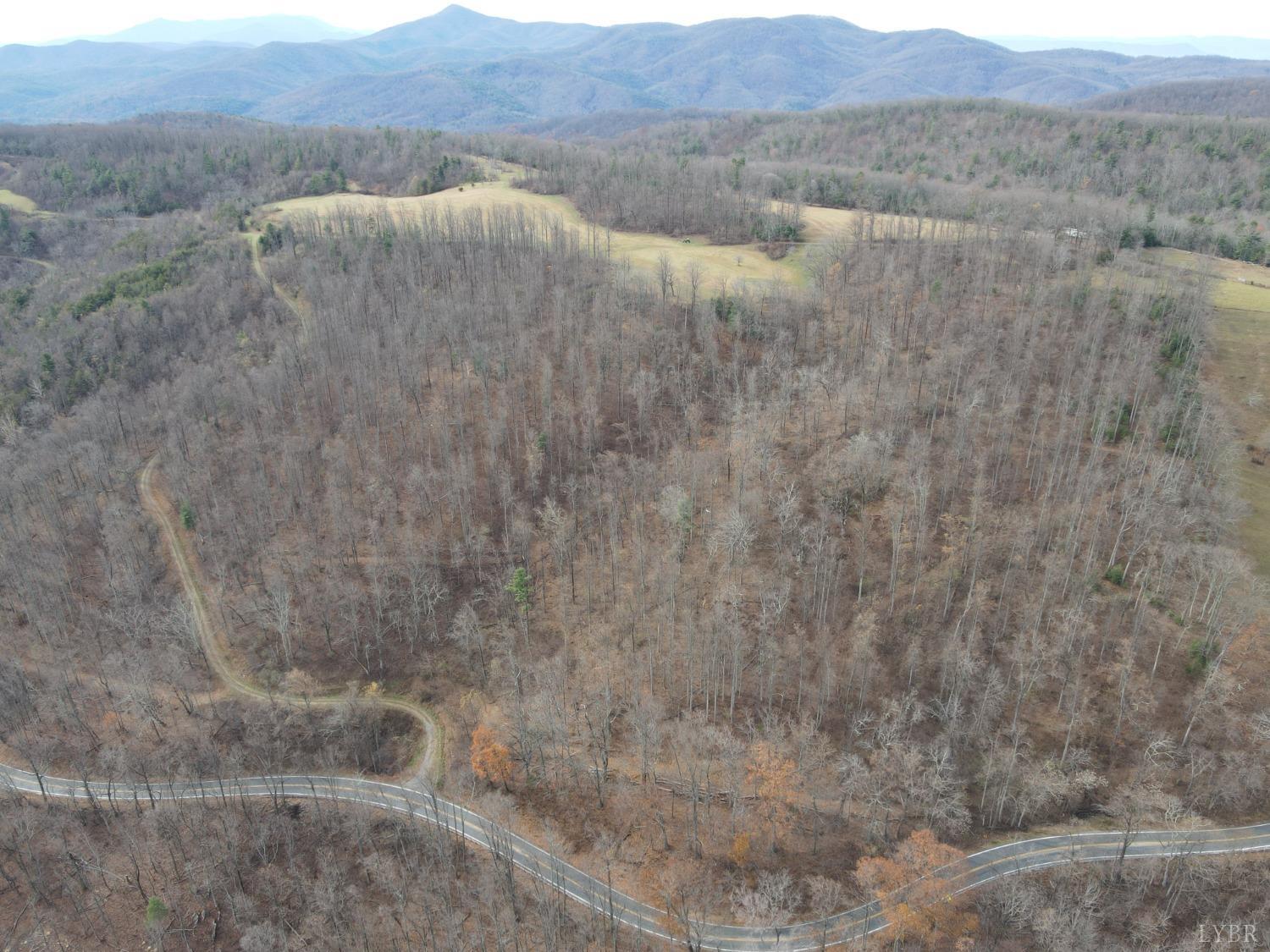 Lexington Turnpike, Amherst, Virginia image 12