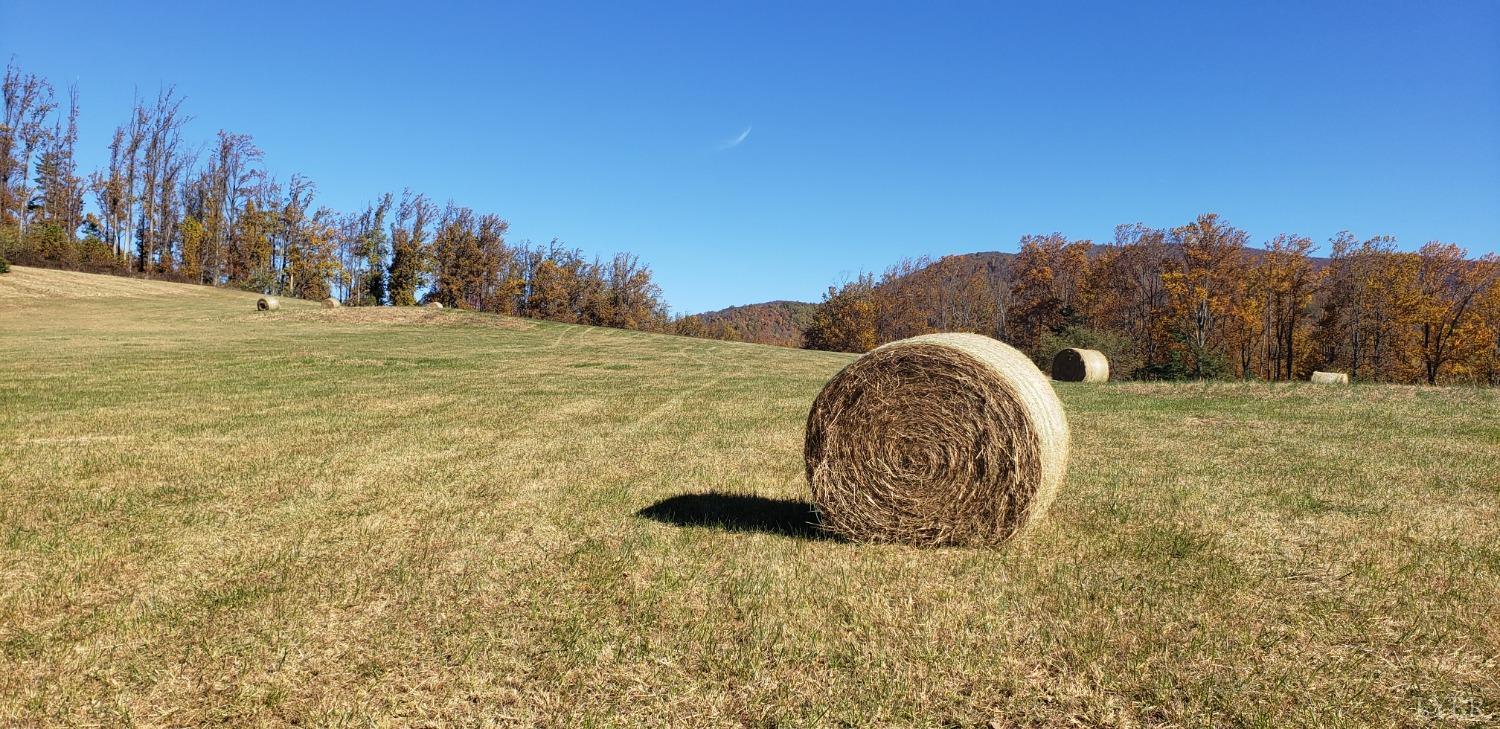 Lexington Turnpike, Amherst, Virginia image 6