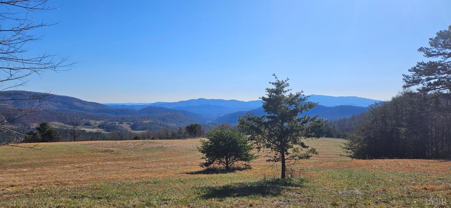 Lexington Turnpike, Amherst, Virginia image 5