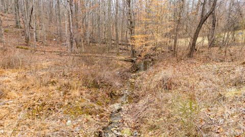 Tiny photo for 218 Maple Drive, Madison Heights, VA 24572 (MLS # 364739)