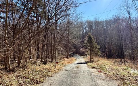 Tiny photo for 218 Maple Drive, Madison Heights, VA 24572 (MLS # 364739)