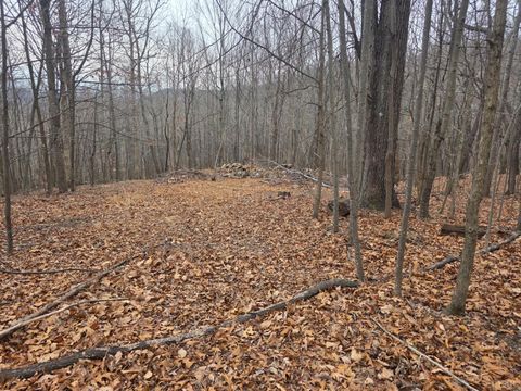 Tiny photo for 0 Hickory Falls Road, Blue Ridge, VA 24064 (MLS # 364411)