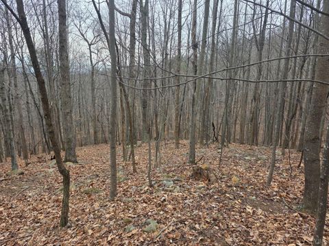 Tiny photo for 0 Hickory Falls Road, Blue Ridge, VA 24064 (MLS # 364411)