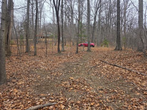 Tiny photo for 0 Hickory Falls Road, Blue Ridge, VA 24064 (MLS # 364411)