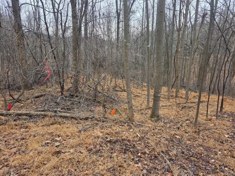 Photo of 0 Hickory Falls Road, Blue Ridge, VA 24064 (MLS # 364411)