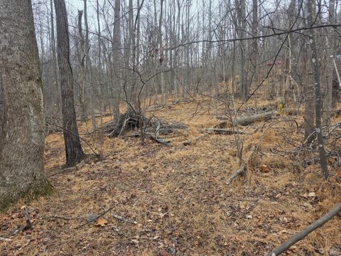 Tiny photo for 0 Hickory Falls Road, Blue Ridge, VA 24064 (MLS # 364411)
