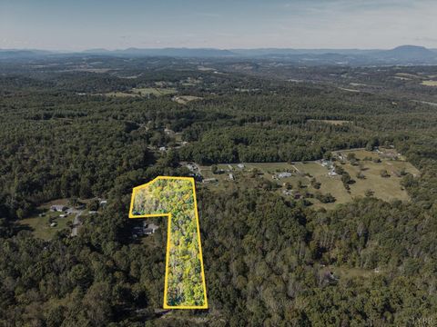 Tiny photo for 615 Stoney Run Road, Buena Vista, VA 24416 (MLS # 362213)