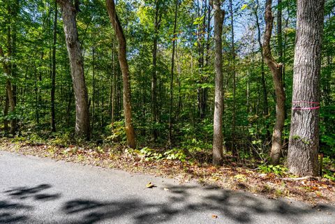 Tiny photo for 615 Stoney Run Road, Buena Vista, VA 24416 (MLS # 362213)