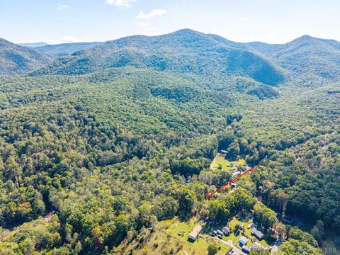 Tiny photo for 615 Stoney Run Road, Buena Vista, VA 24416 (MLS # 362213)