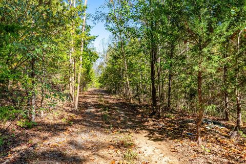 Tiny photo for 615 Stoney Run Road, Buena Vista, VA 24416 (MLS # 362213)