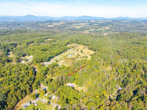 Tiny photo for 615 Stoney Run Road, Buena Vista, VA 24416 (MLS # 362213)